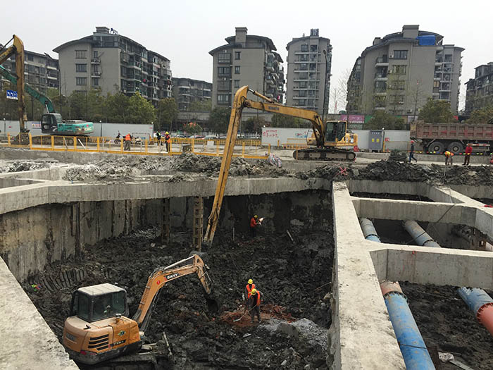 長臂挖機(jī)(3)